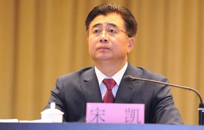 特殊时期 辽宁体育局局长宋凯当选新一届足协主席