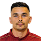 Ovidiu Stefan Hoban