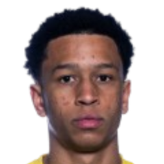 巴希